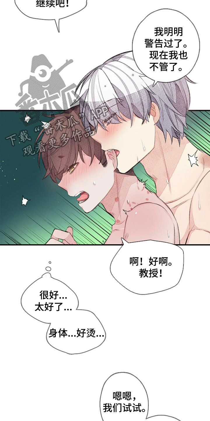 第53章： 幸福2