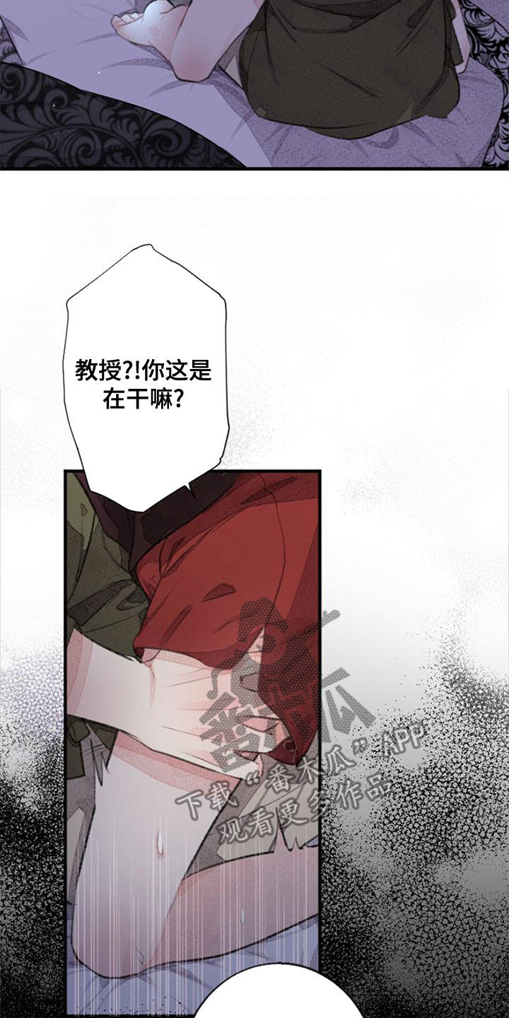 第27章：做梦13