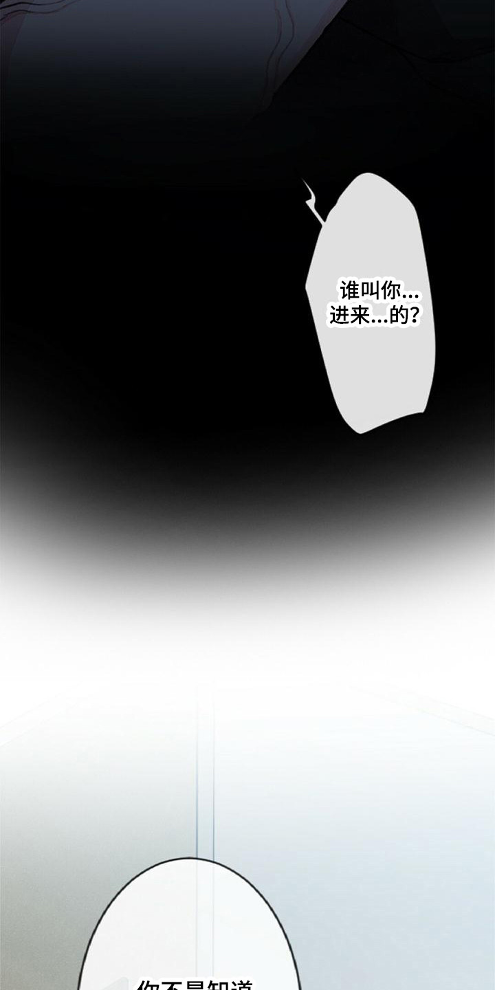 第8章：易感期18