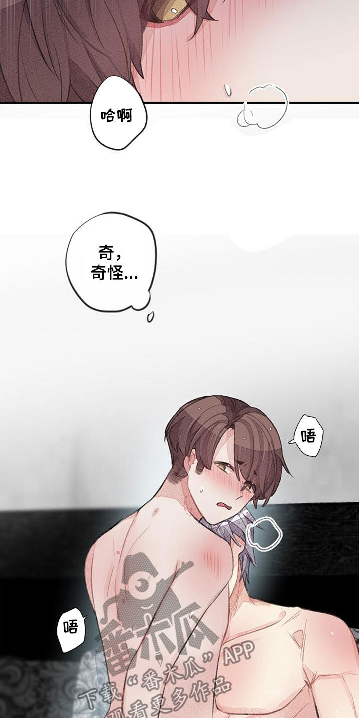 第52章：努力10