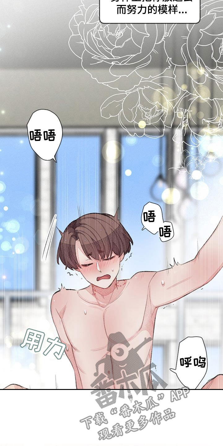 第52章：努力15
