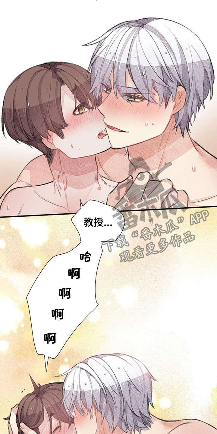 第53章： 幸福5