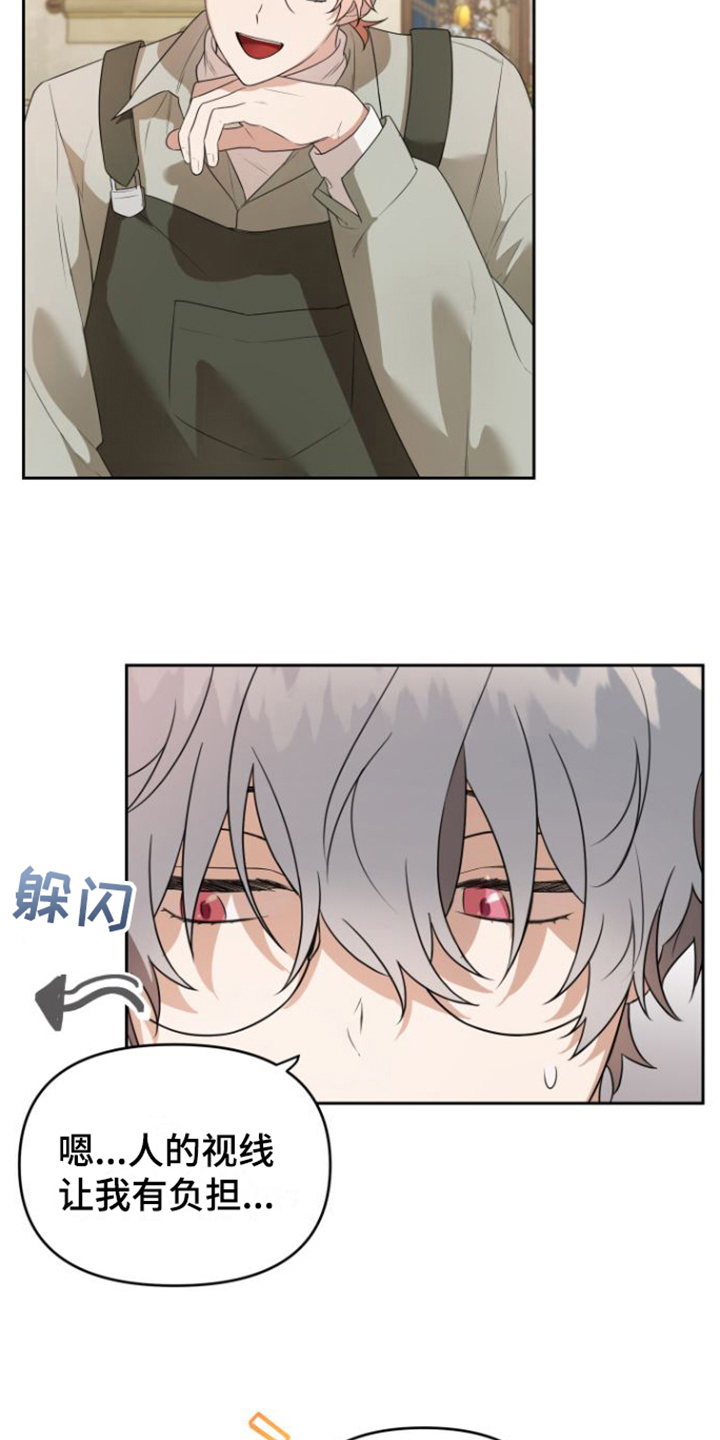 第3章：聘用11