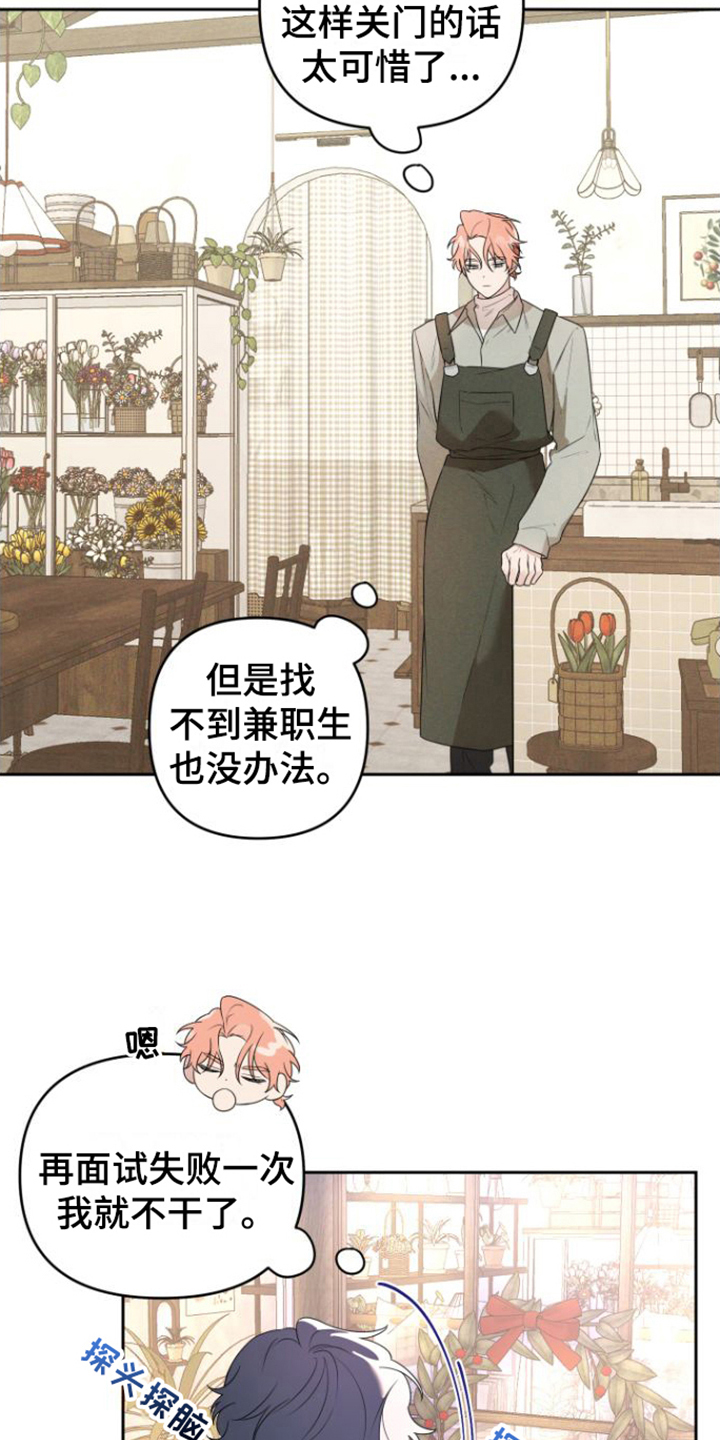 第2章：失望13