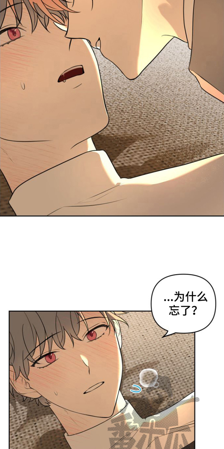 第10章：我能记住13
