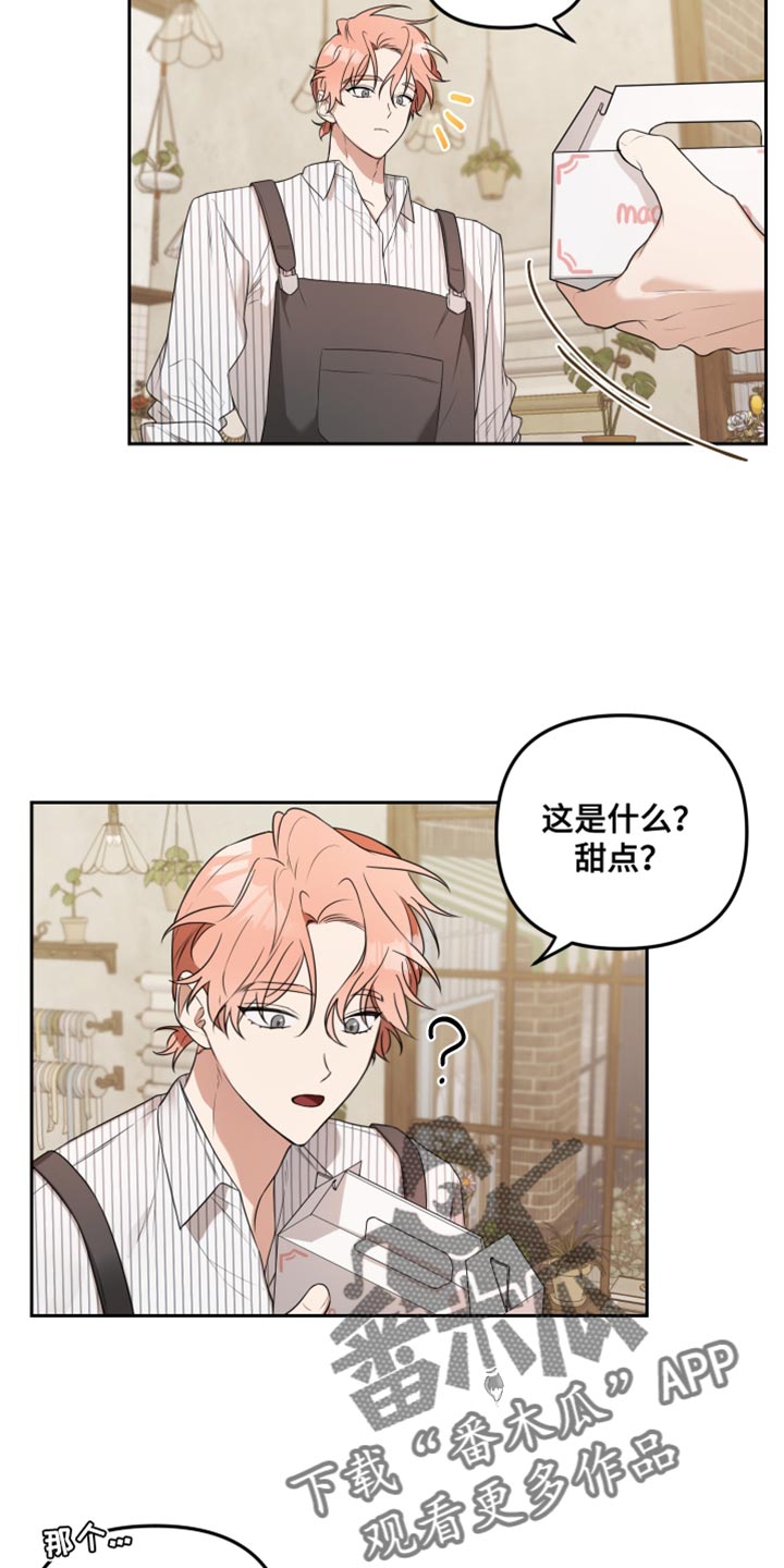 第12章：道歉16