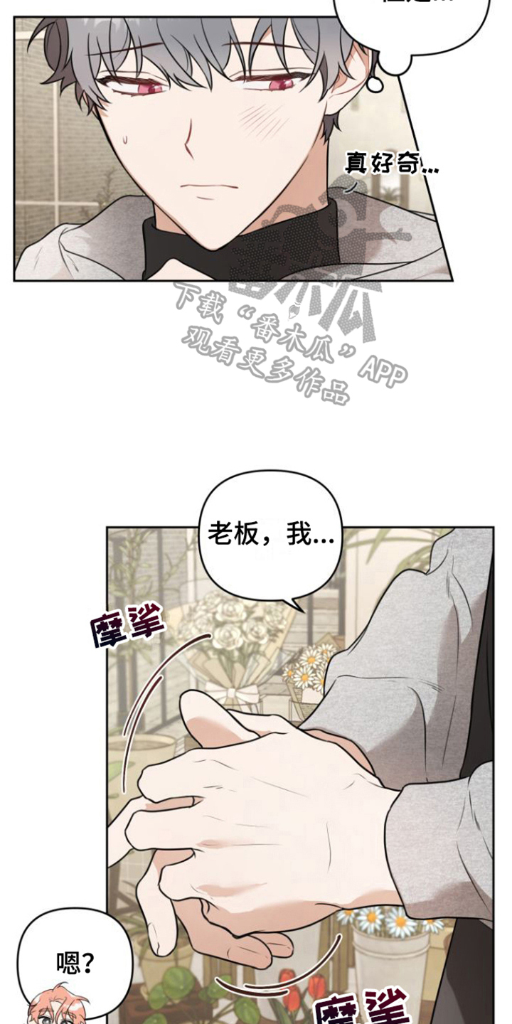 第6章：好奇11