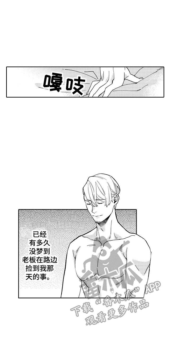 第4章：被迷上16