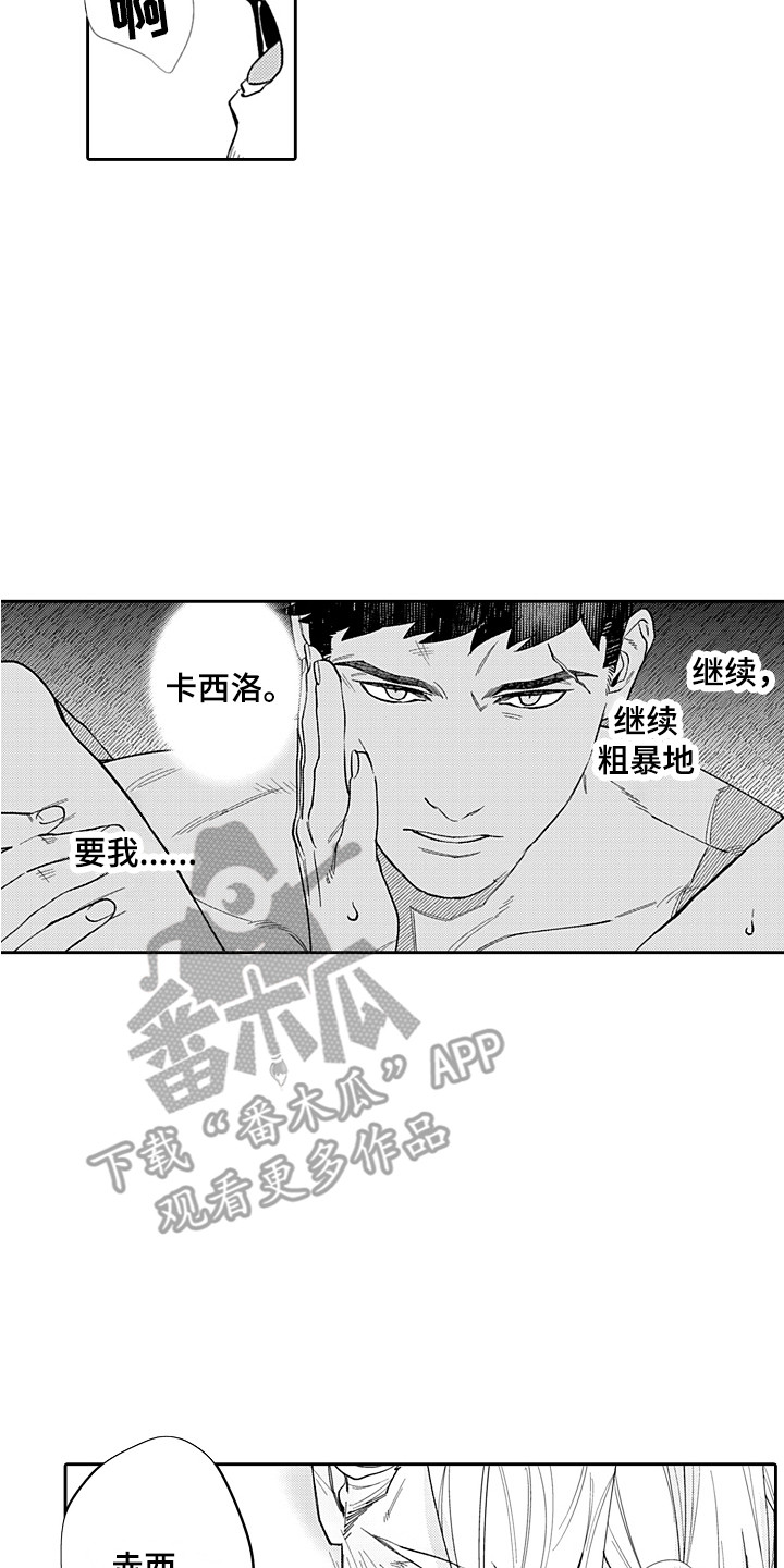 第21章：难以置信 13