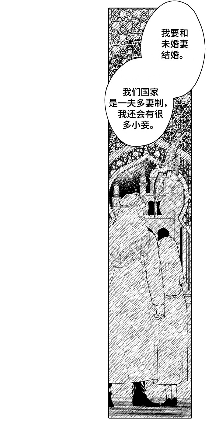 第13章：难忘的礼物 5