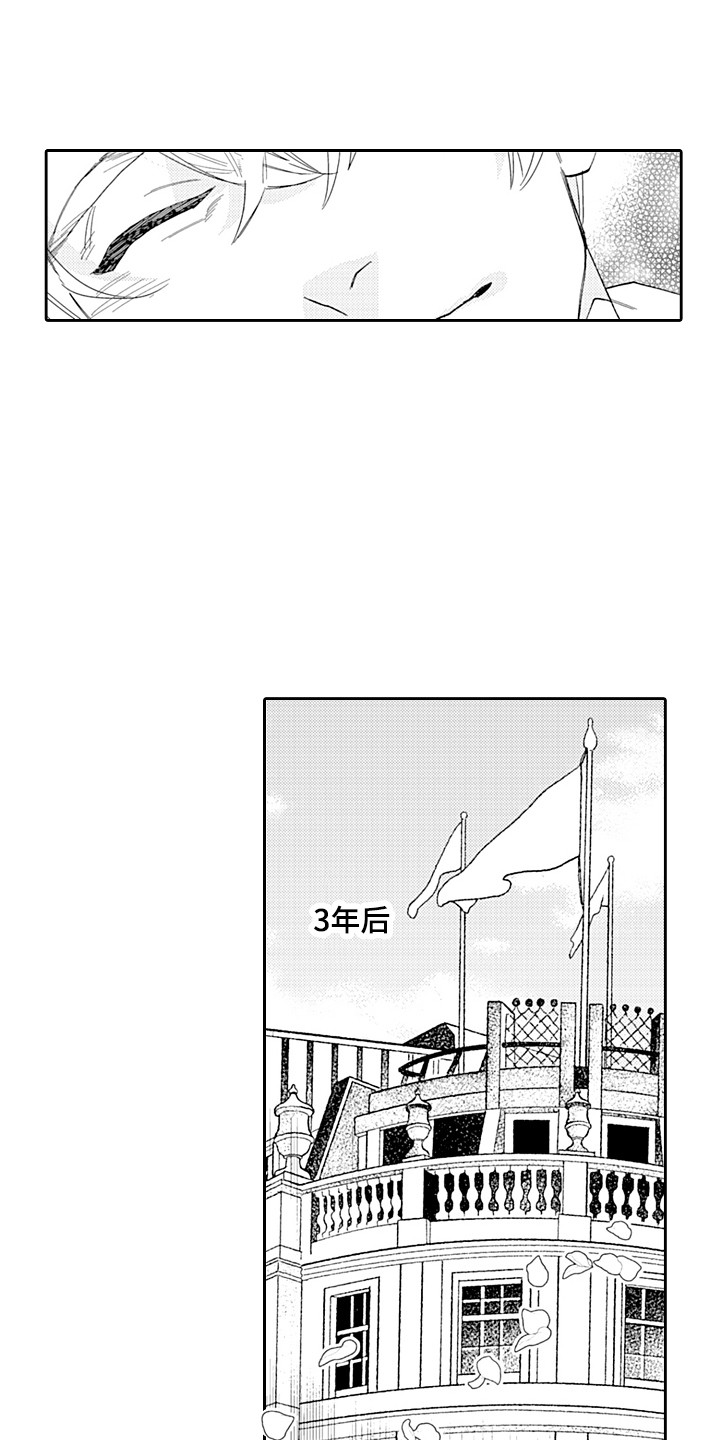 第29章：重回正轨（完结） 14