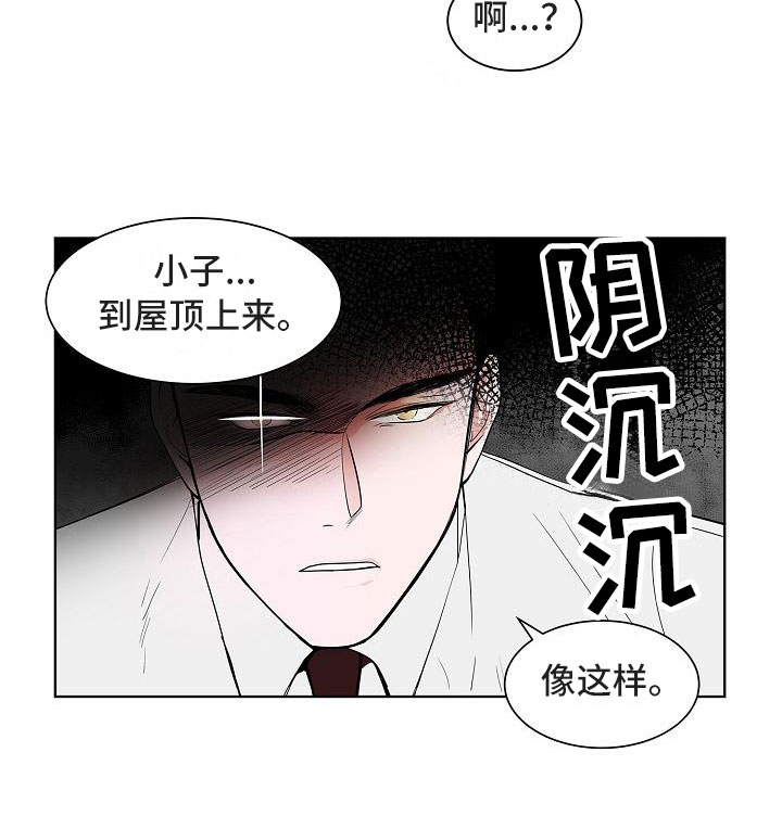 第14章：上天台4