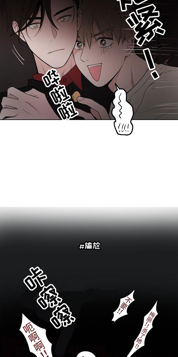 第17章：娱乐方式16