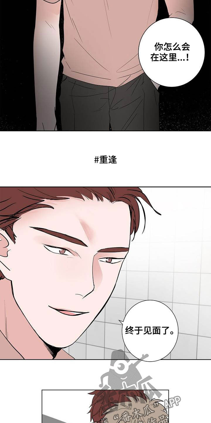第46章：重逢2