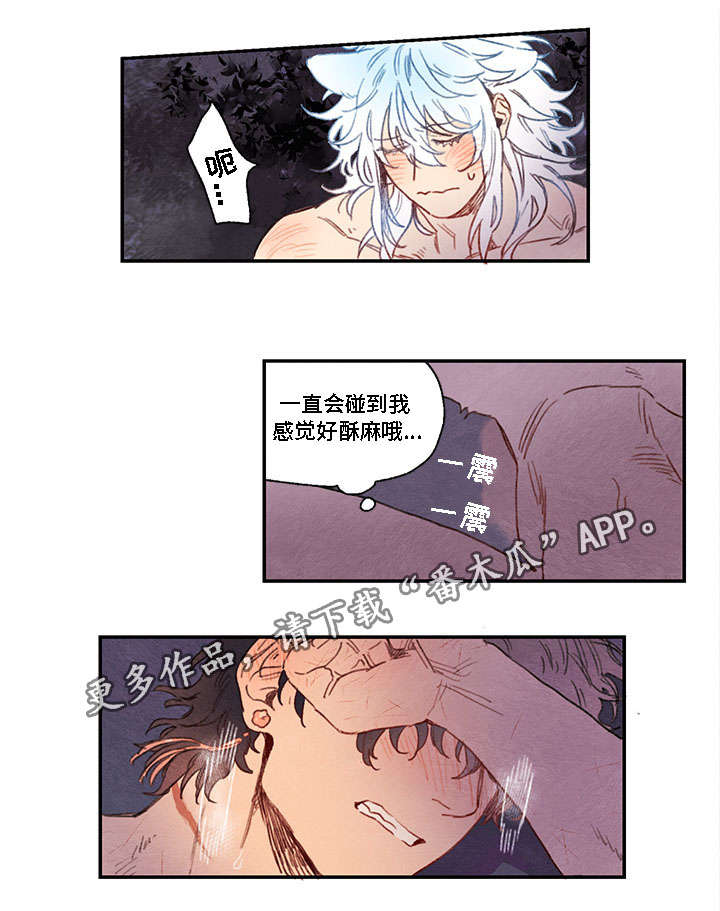 第12章：选择11