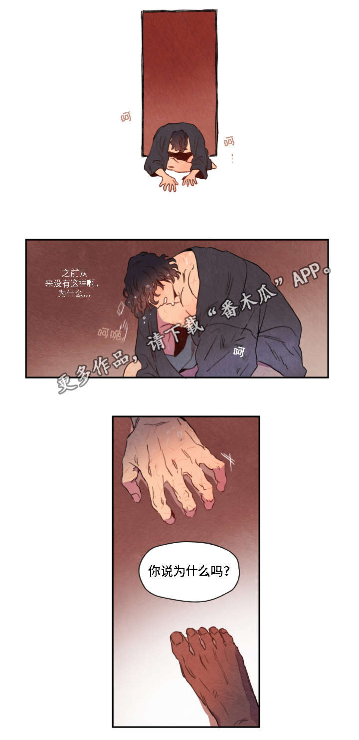 第6章：寻找8