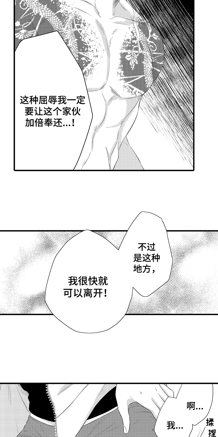 第3章：决心13