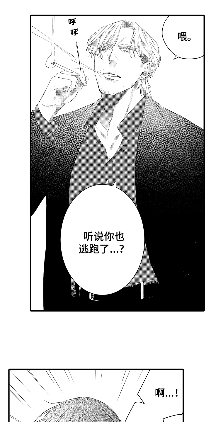 第2章：选择2