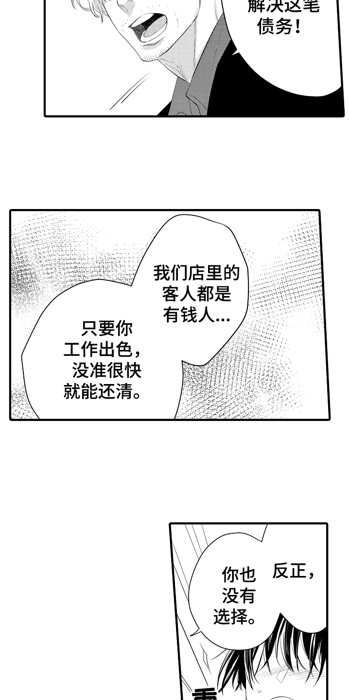 第2章：选择11