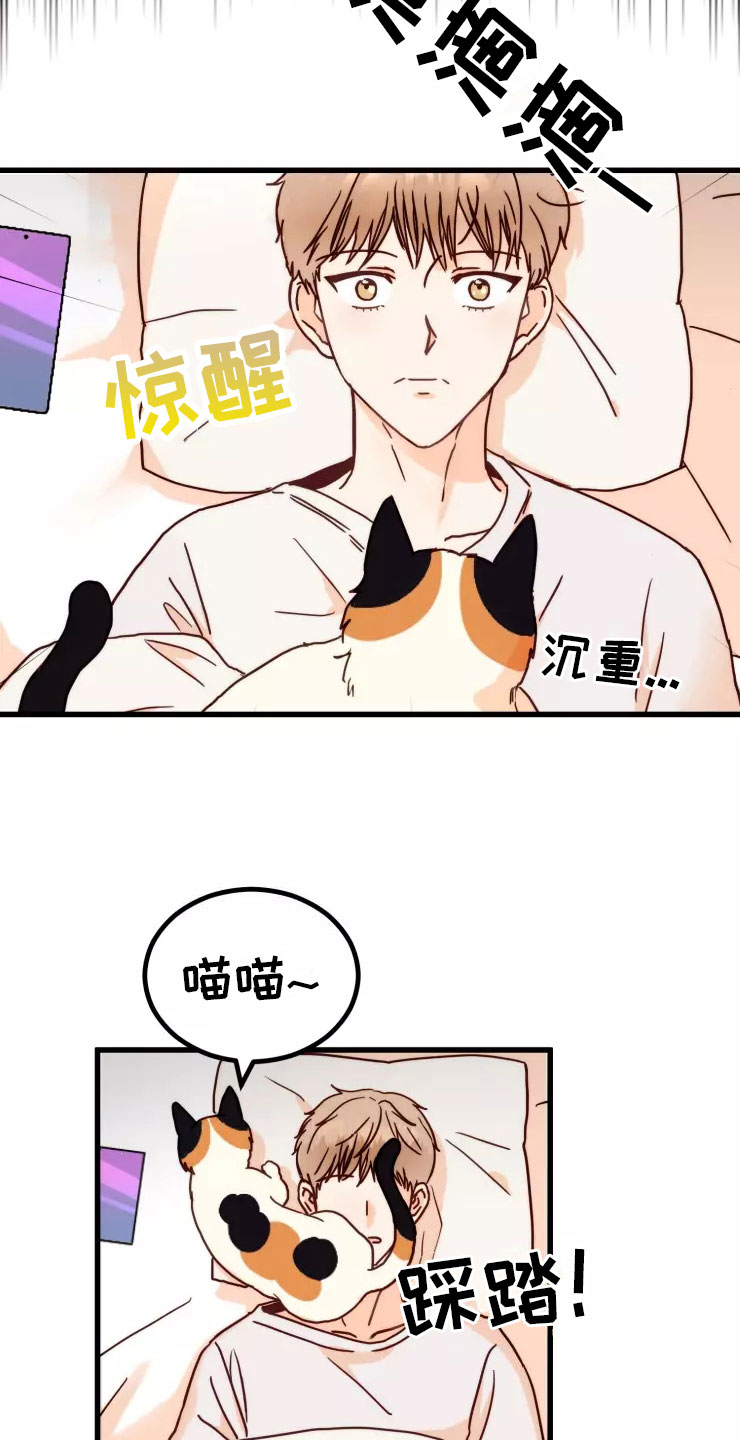 第1章：糟糕的梦8