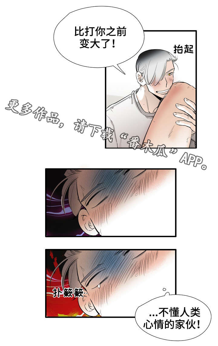 第24章：混蛋8