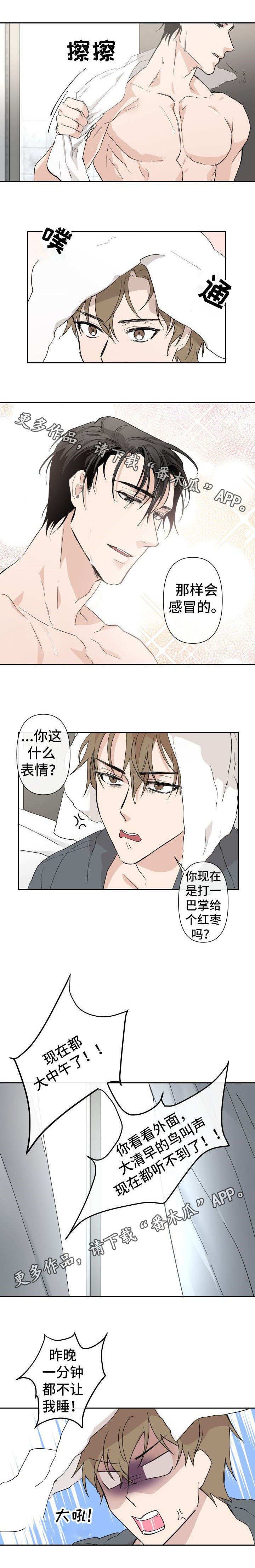 第3章：混蛋5