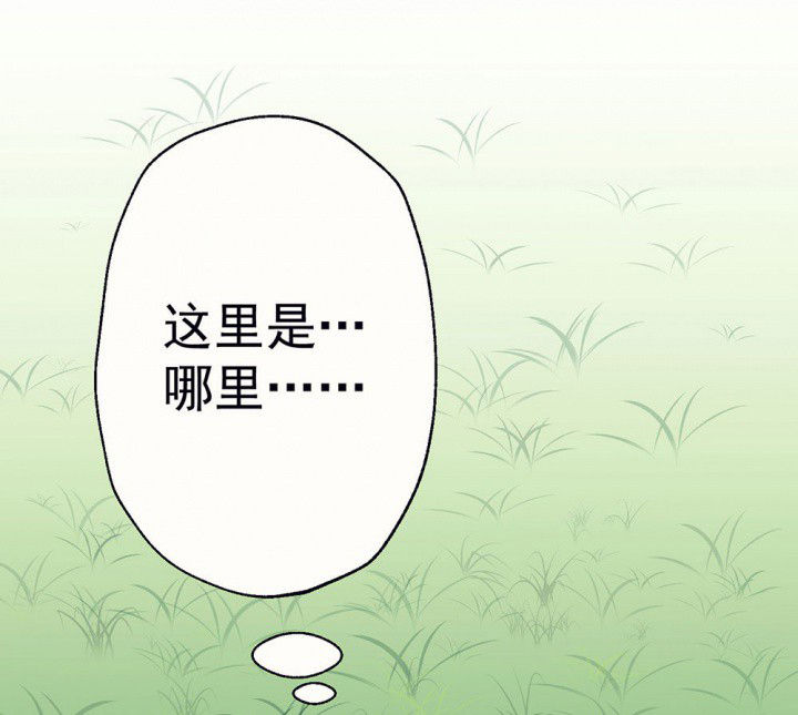 第88章：没有告诉他0