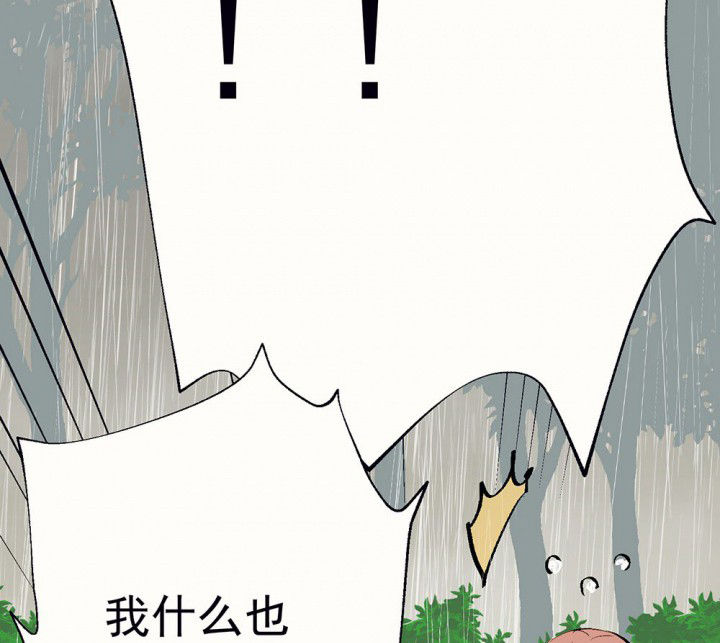 第79章：是不是发生了什么136