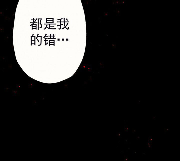 第55章：回忆篇-骤变156