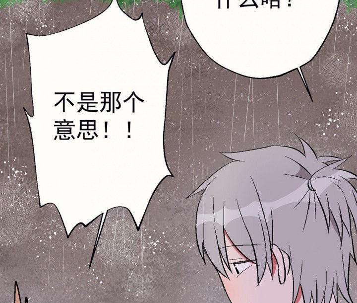 第80章：是不是发生了什么216