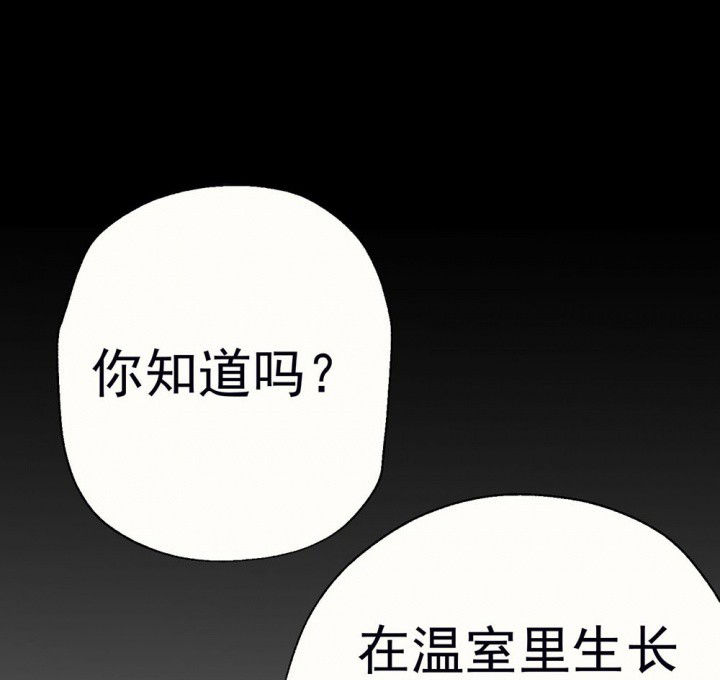第60章：宫梧的宣言240