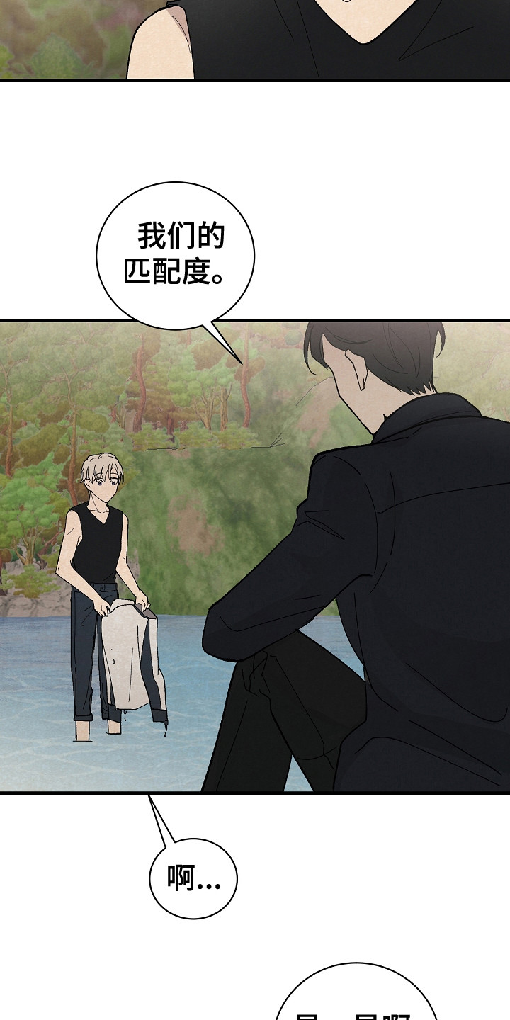 第11章：匹配度15