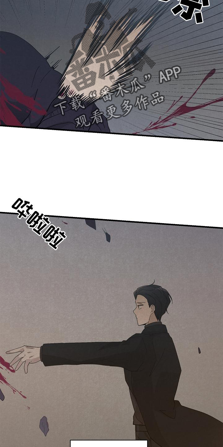 第30章：了解15