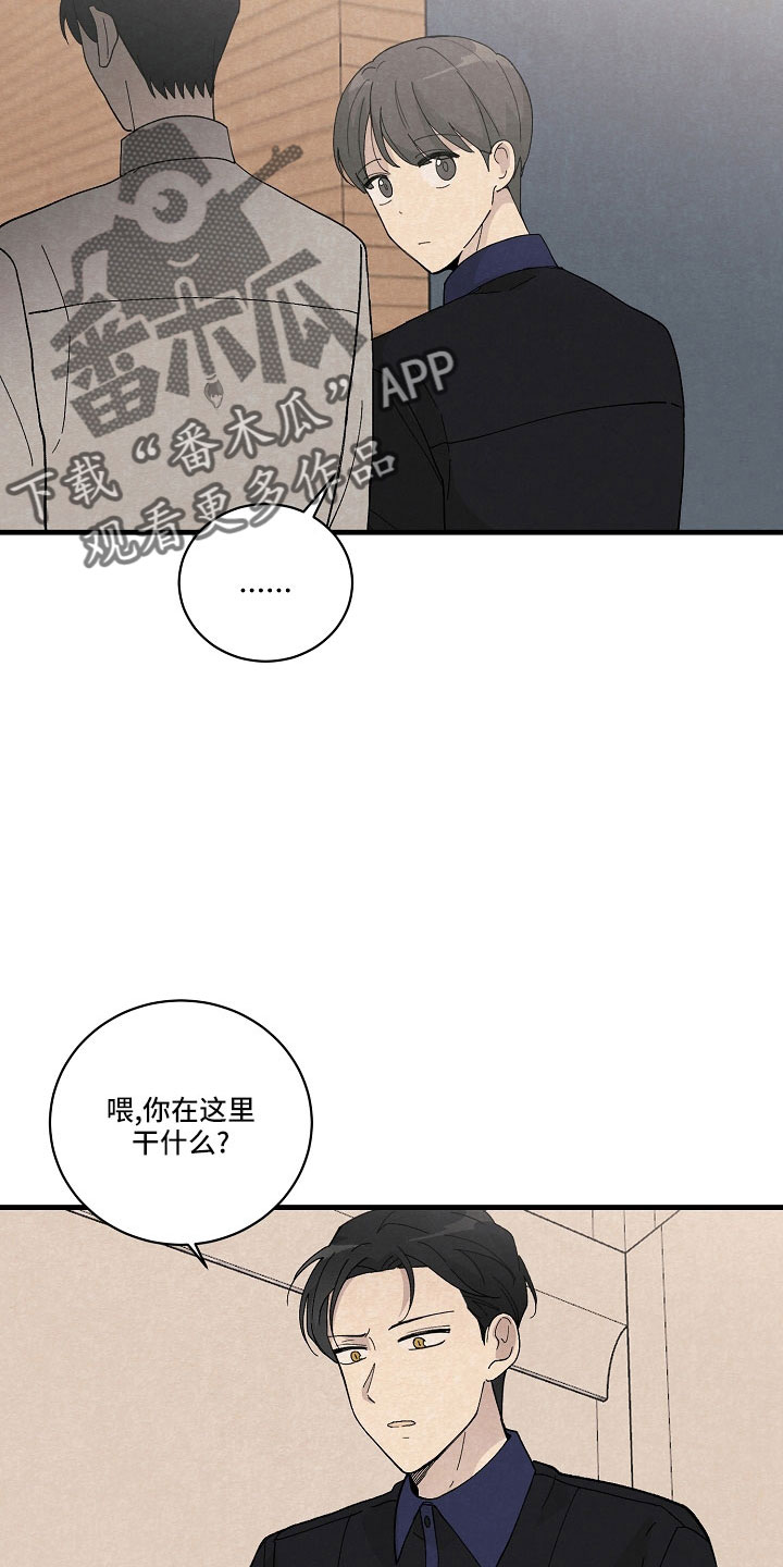 第26章：笨蛋一样26