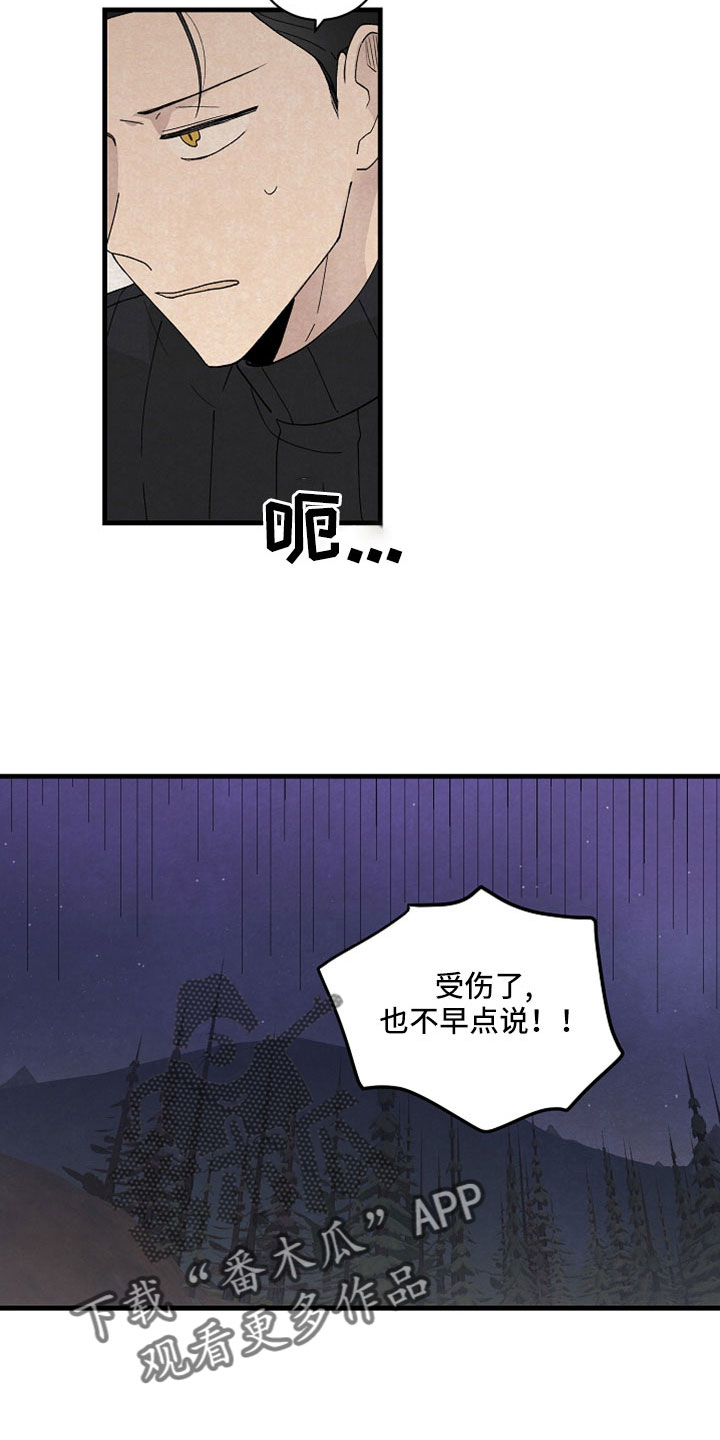 第48章：受伤不早说12
