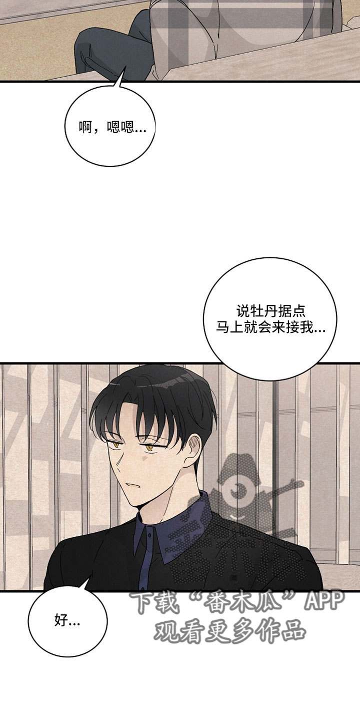 第39章：回答我12