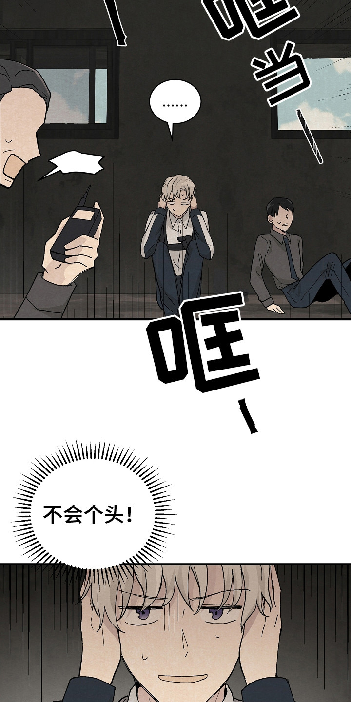 第4章：野外调查8
