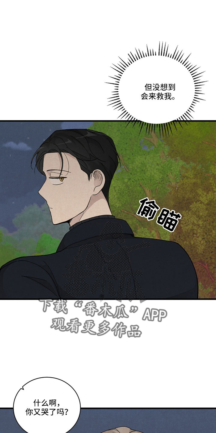 第51章：更好办法4