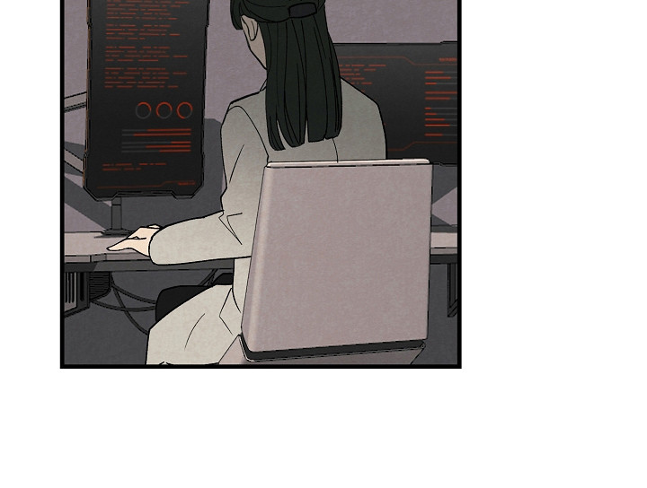 第17章：搜索11