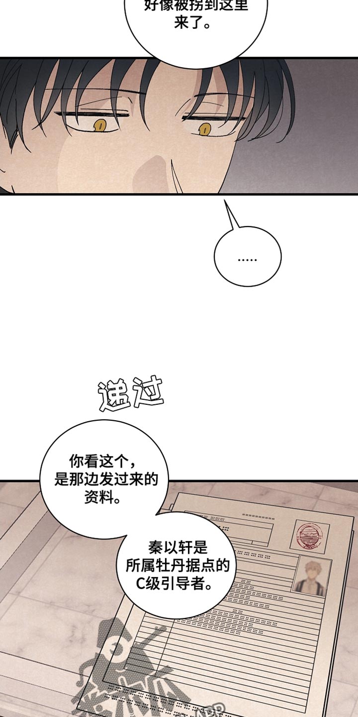 第37章：如实回答16