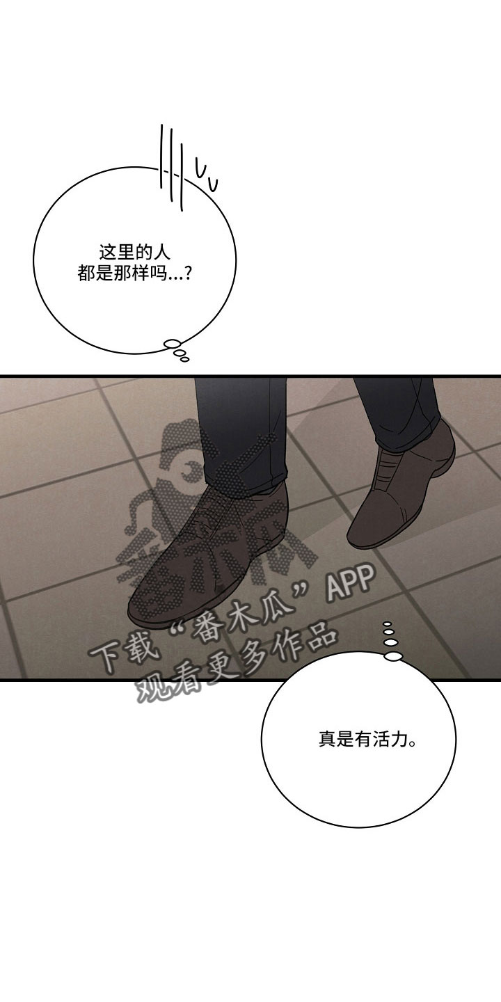 第26章：笨蛋一样0
