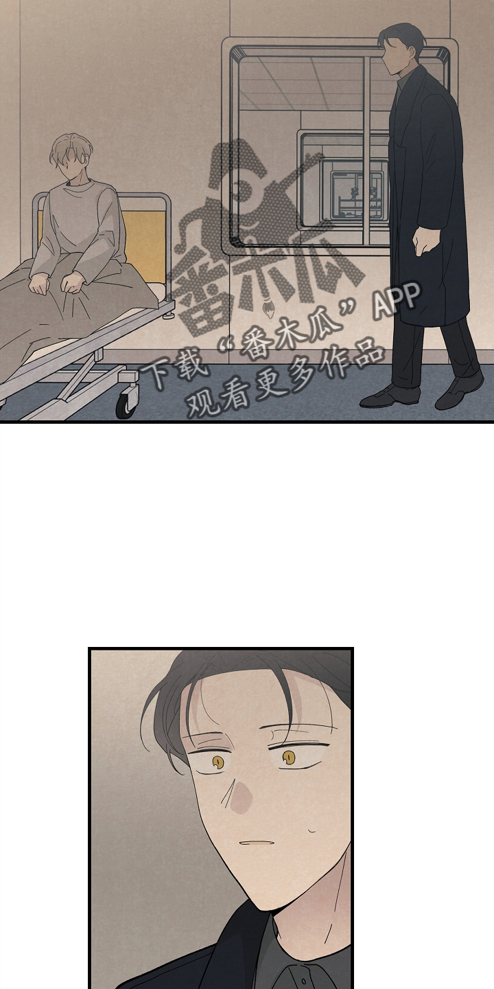 第67章：幸福13