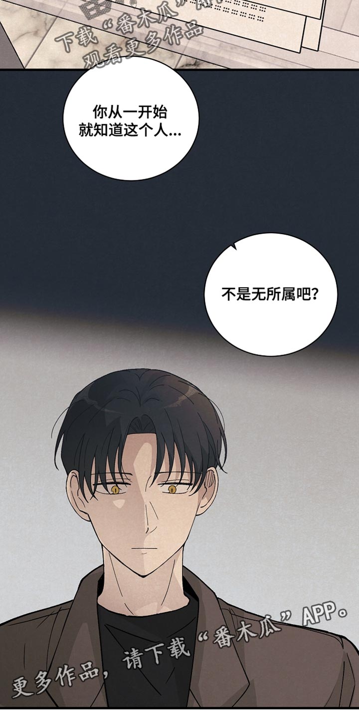 第37章：如实回答17