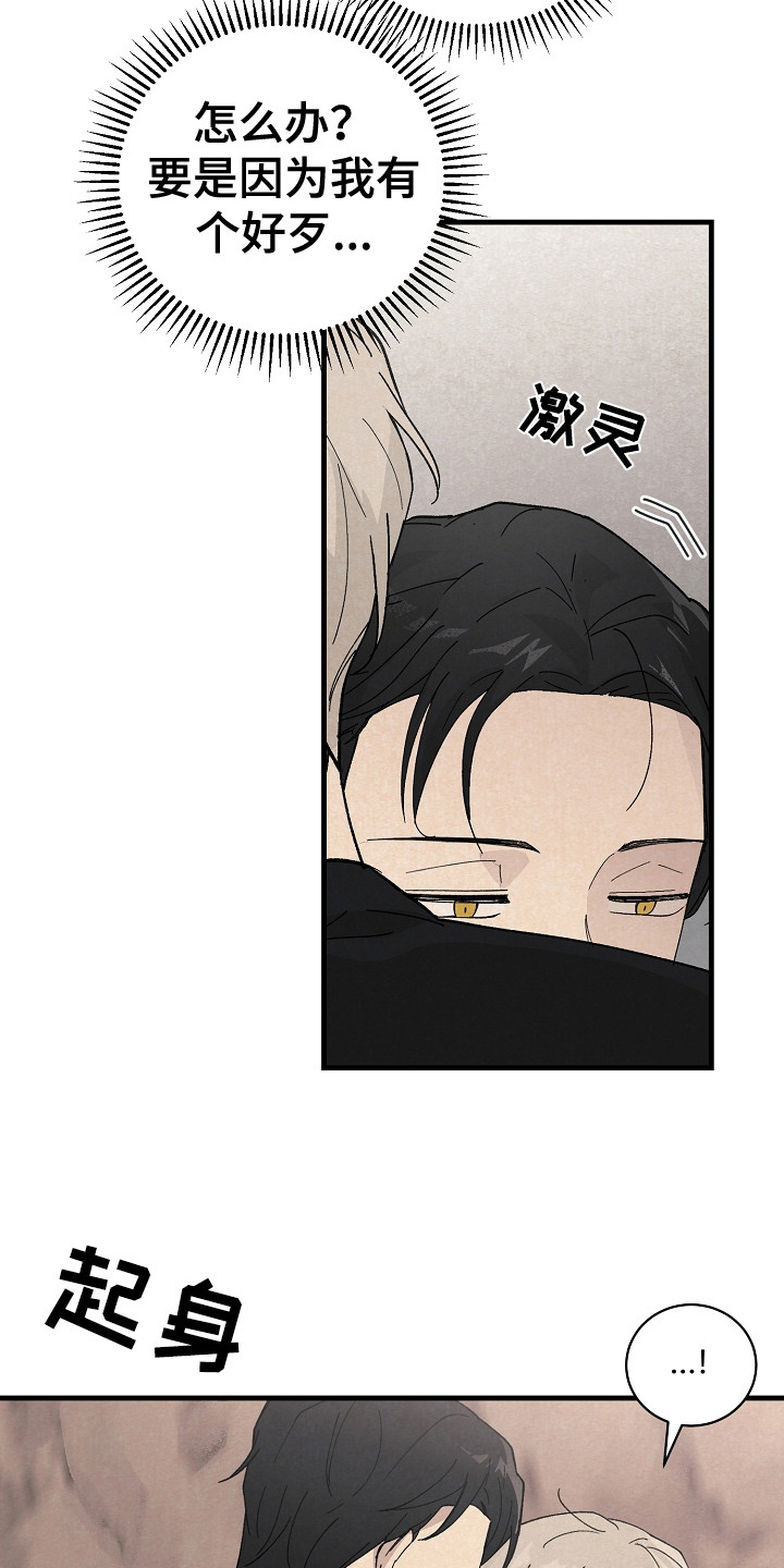 第11章：匹配度6