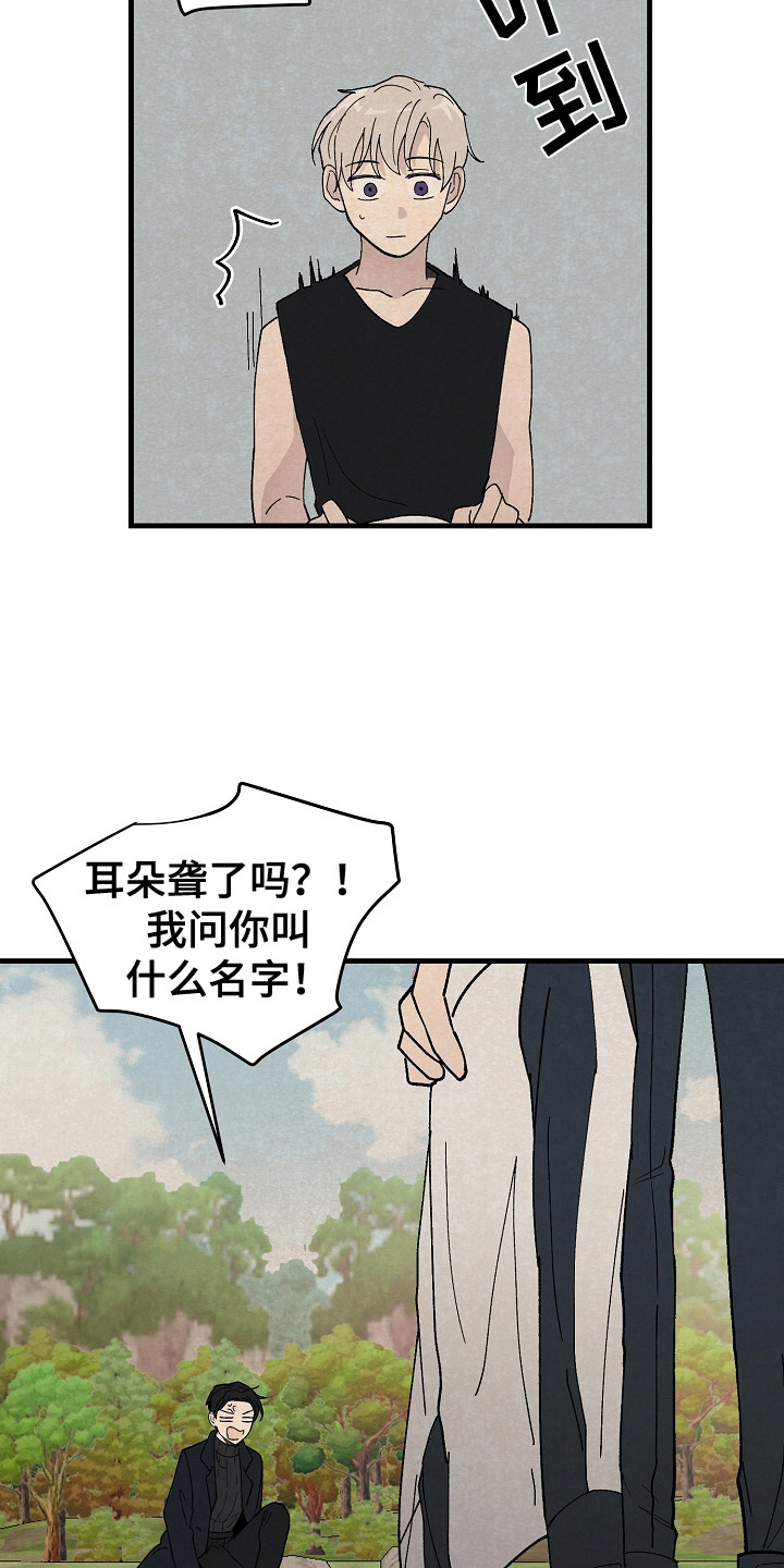 第12章：同行6