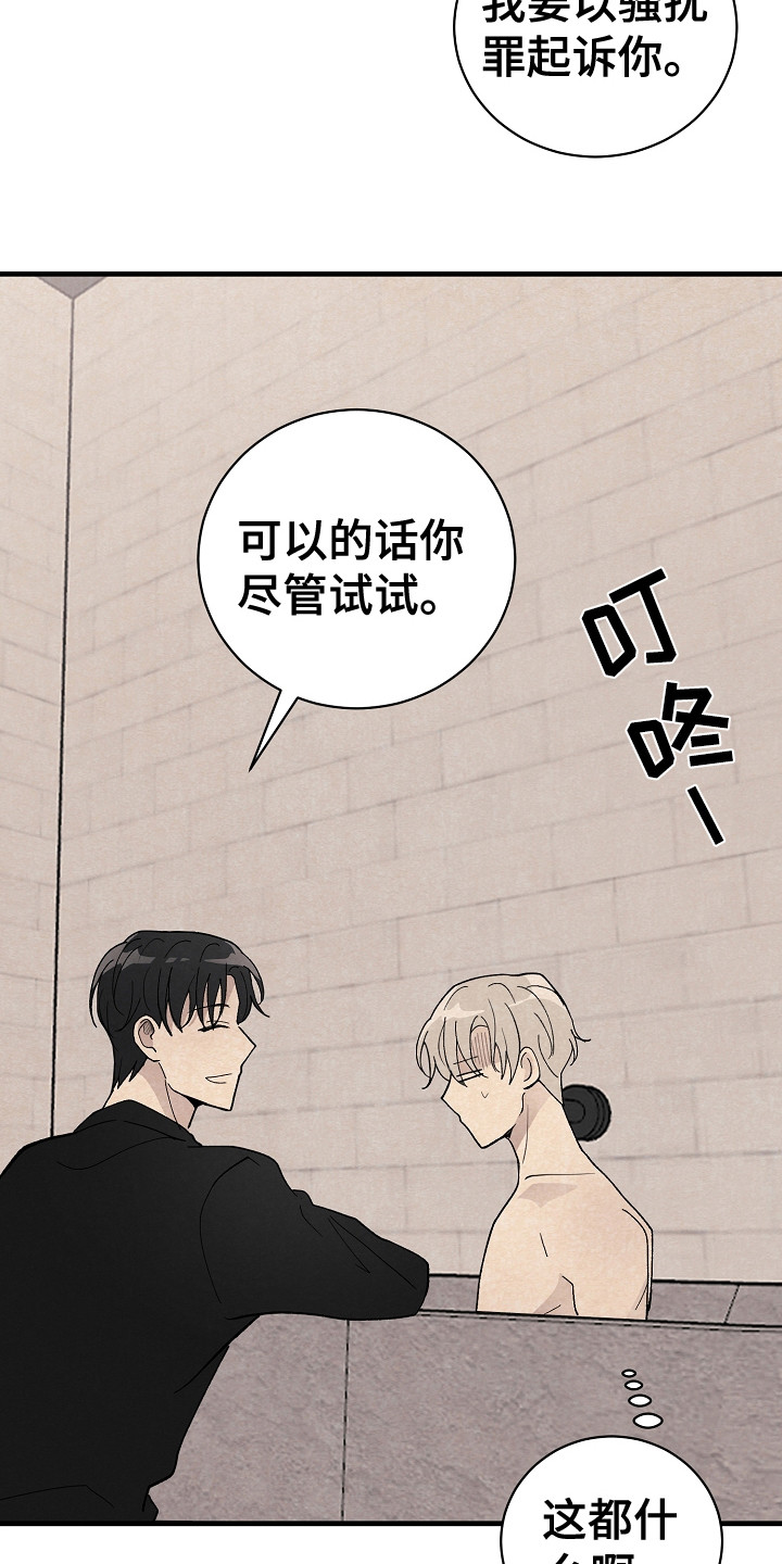 第19章：带回家12