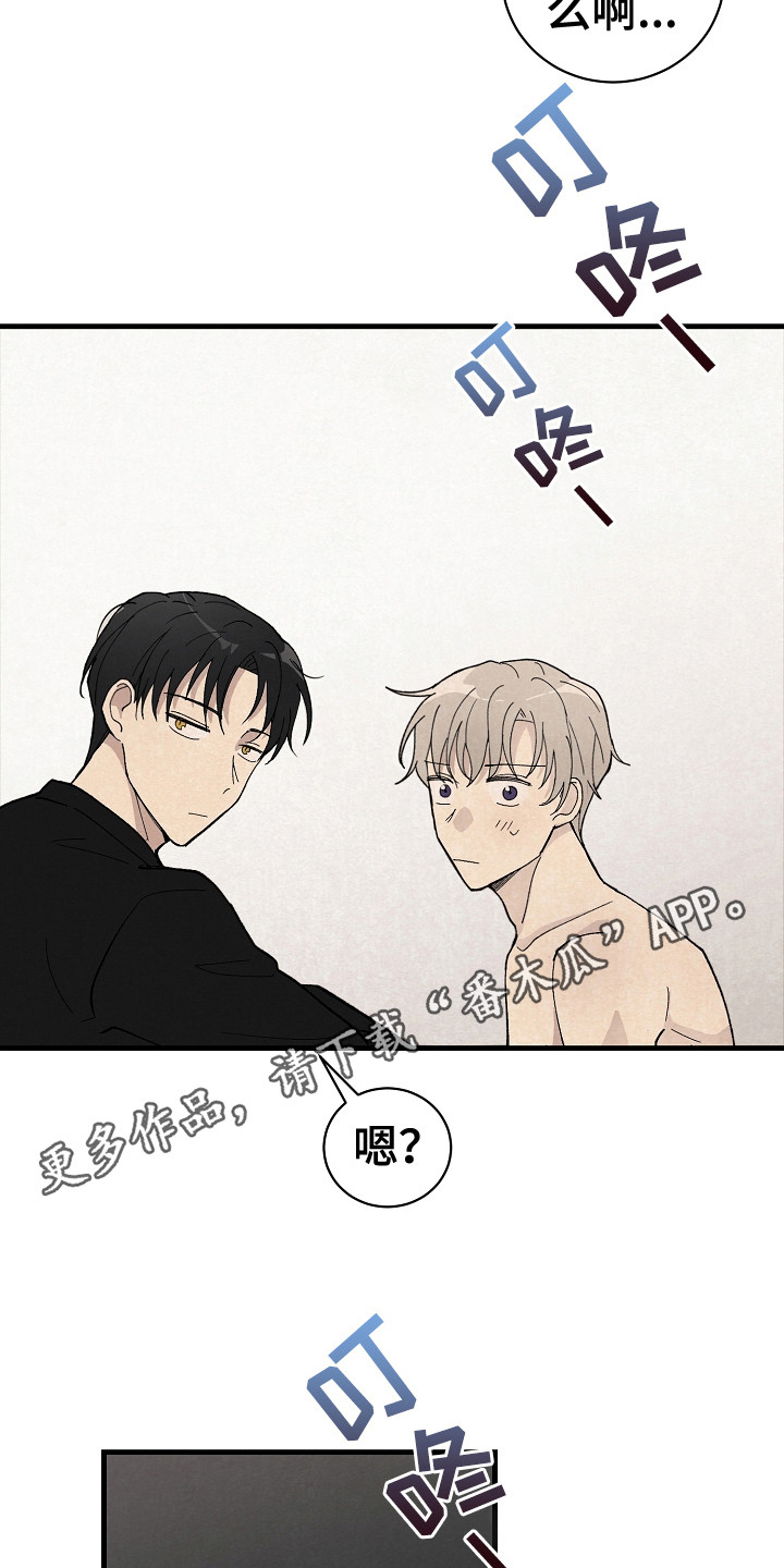 第19章：带回家13