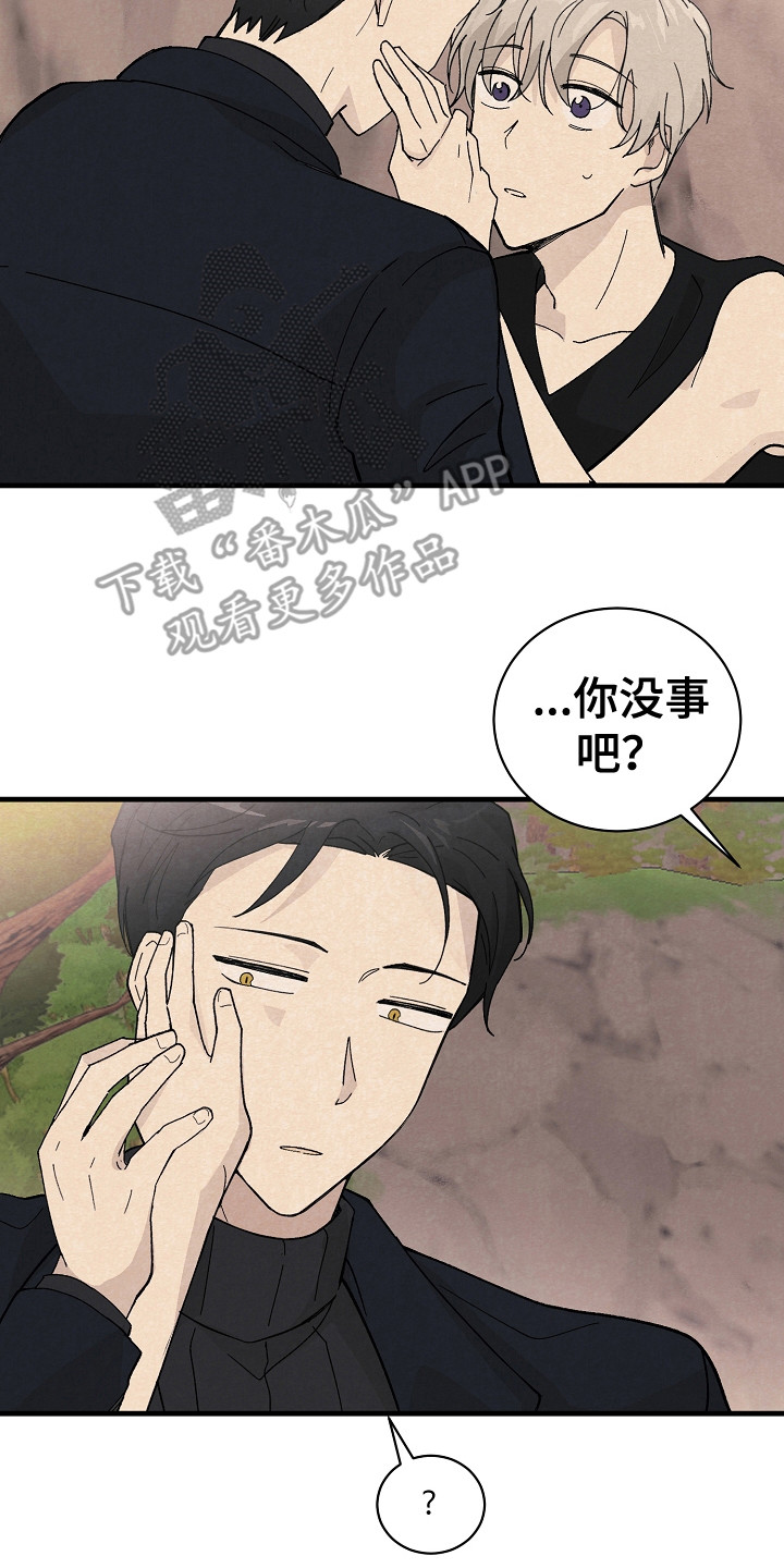 第11章：匹配度7