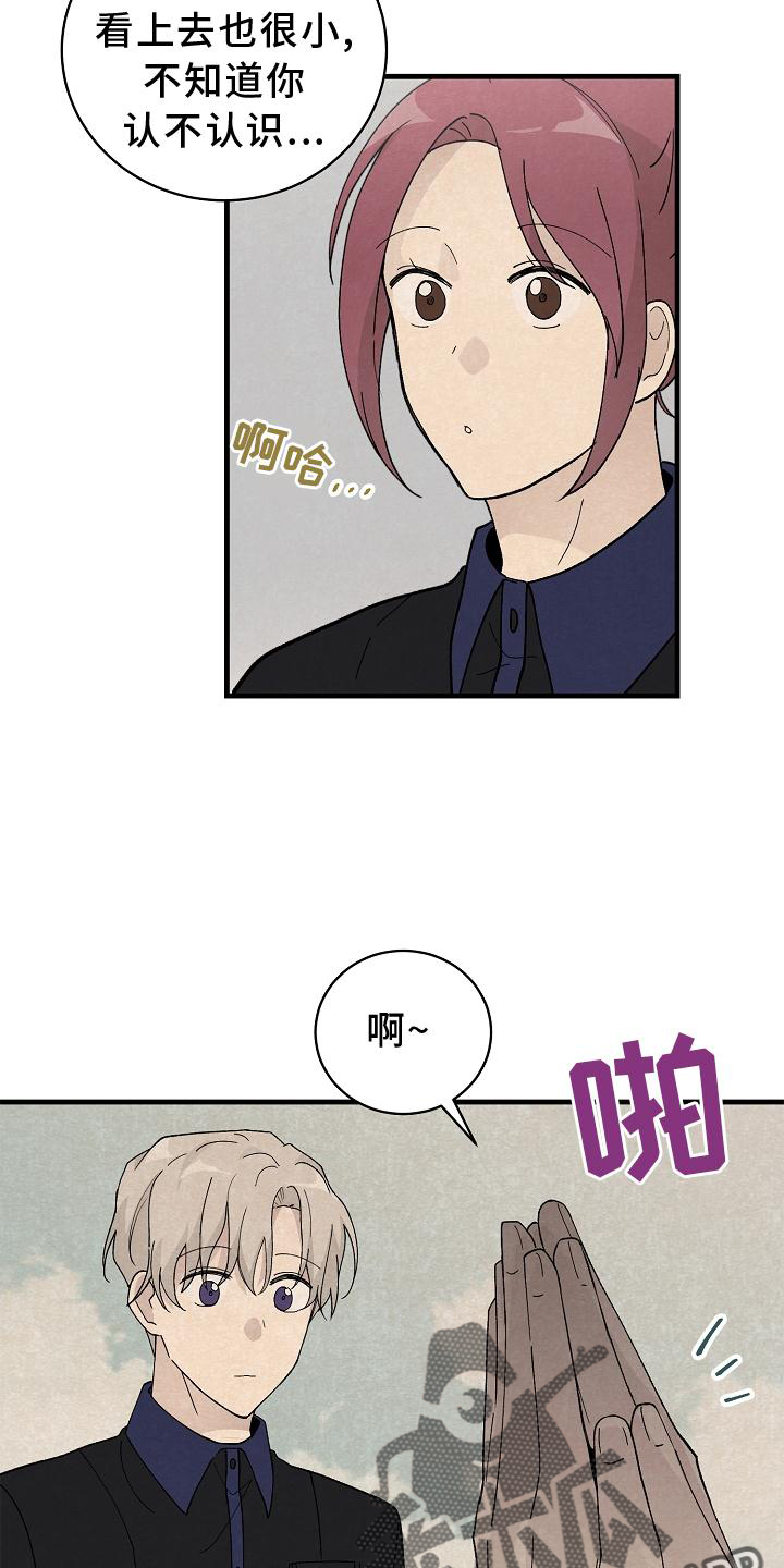 第28章：交代13