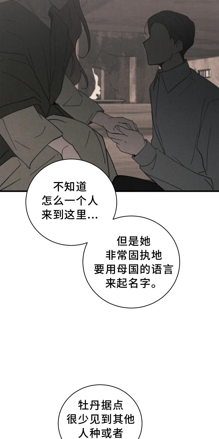 第28章：交代7